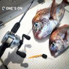 「Salvation(サルベーション)」のサムネイル画像